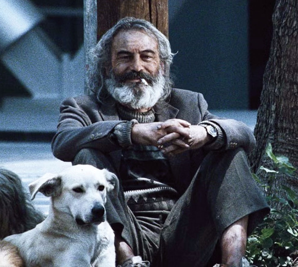 Amores perros