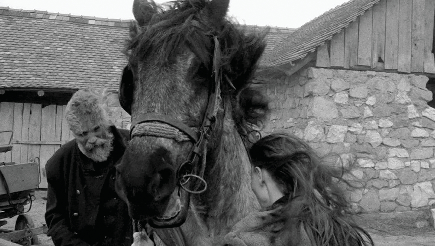 El caballo de Turín